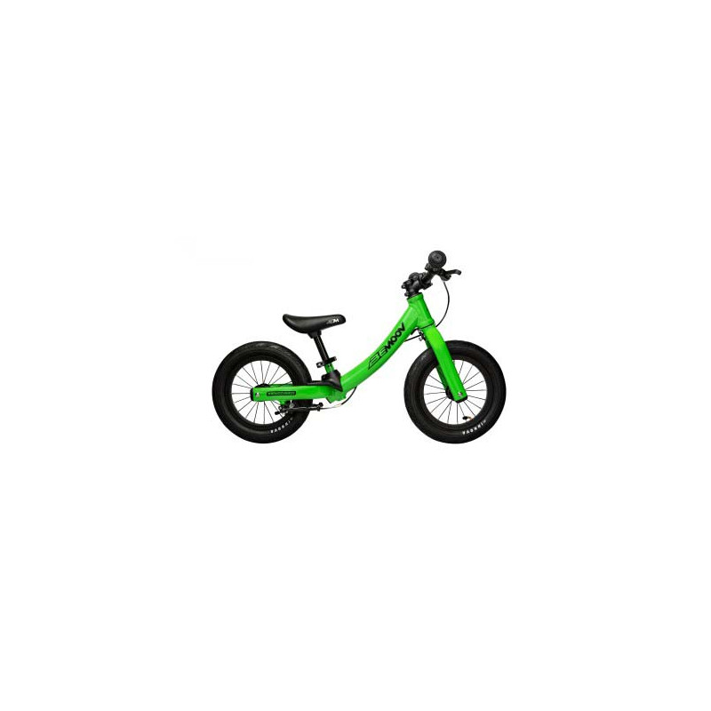 Draisienne M12 verte